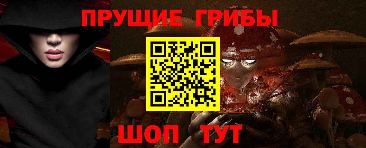 Галлюциногенные грибы Magic Shrooms  Галлюциногенные грибы Psilocybine cubensis  Вход с VPN  где найти   Тольятти 