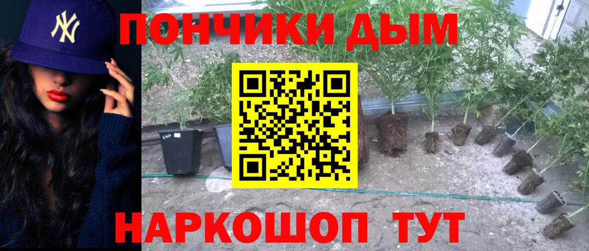 Канабис VHQ  Вход с VPN  Тольятти  Шишки марихуана Bruce Banner 